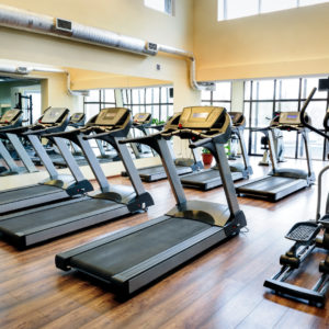 Cosa succede in palestra