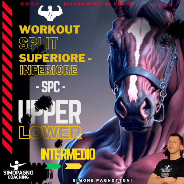 SPC - UPPER LOWER - Superiore - Inferiore
